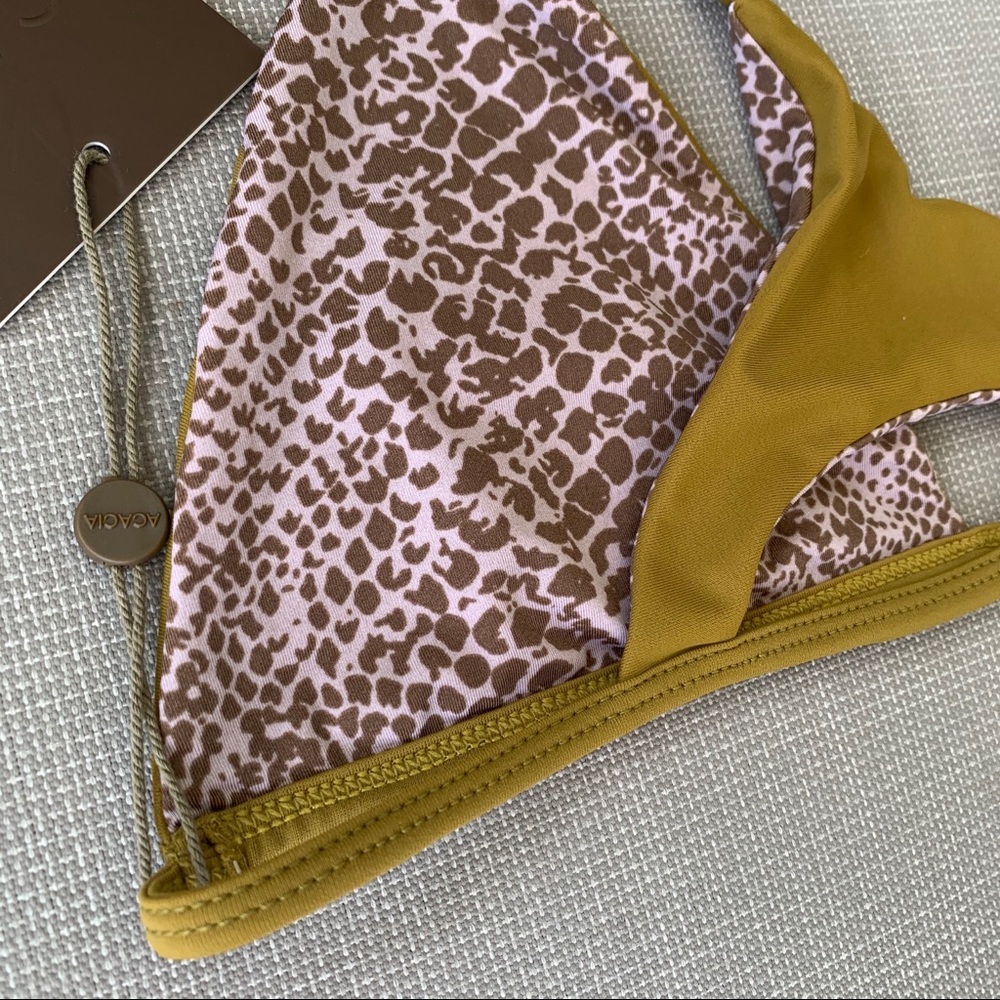 Acacia - Picture 6 of 7